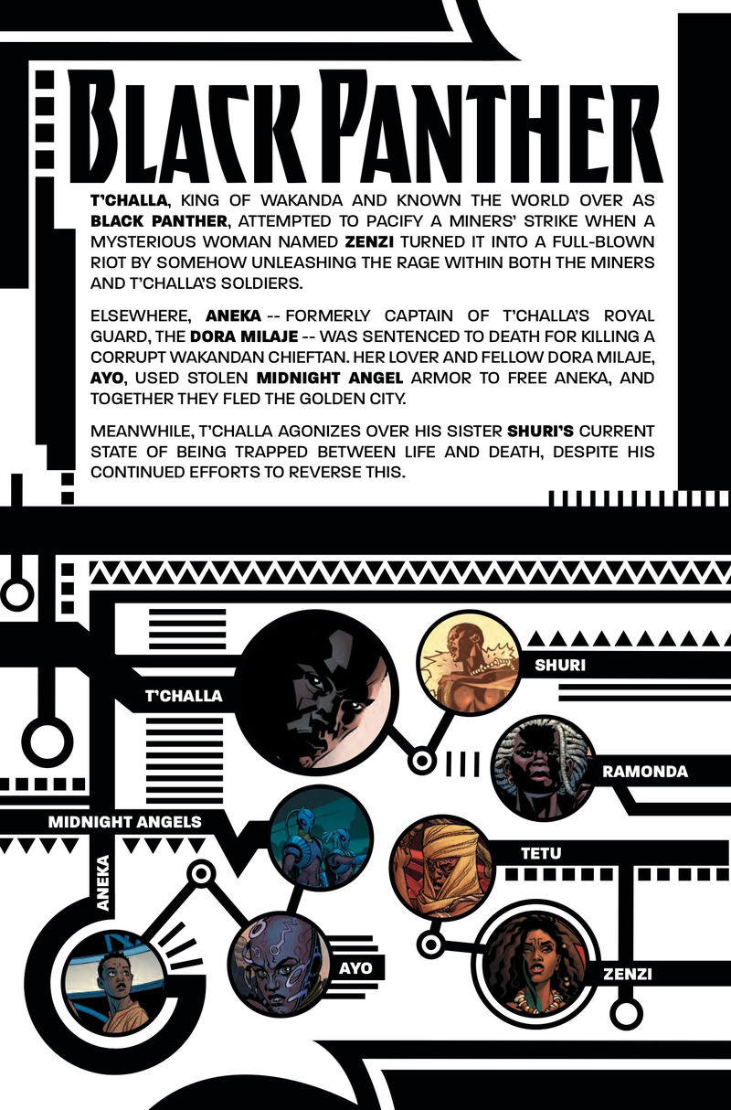 Illustration for article titled Marvel exclusive: T’Challa stands up for his people in Ta-Nehisi Coates’ Black Panther #2